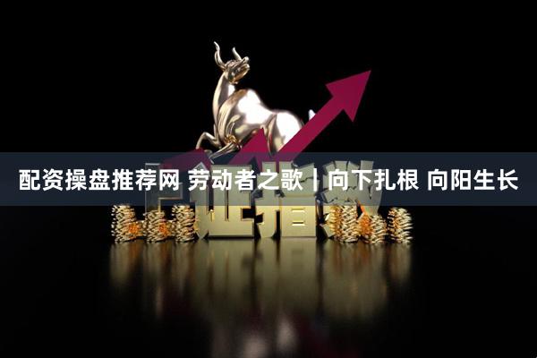 配资操盘推荐网 劳动者之歌｜向下扎根 向阳生长